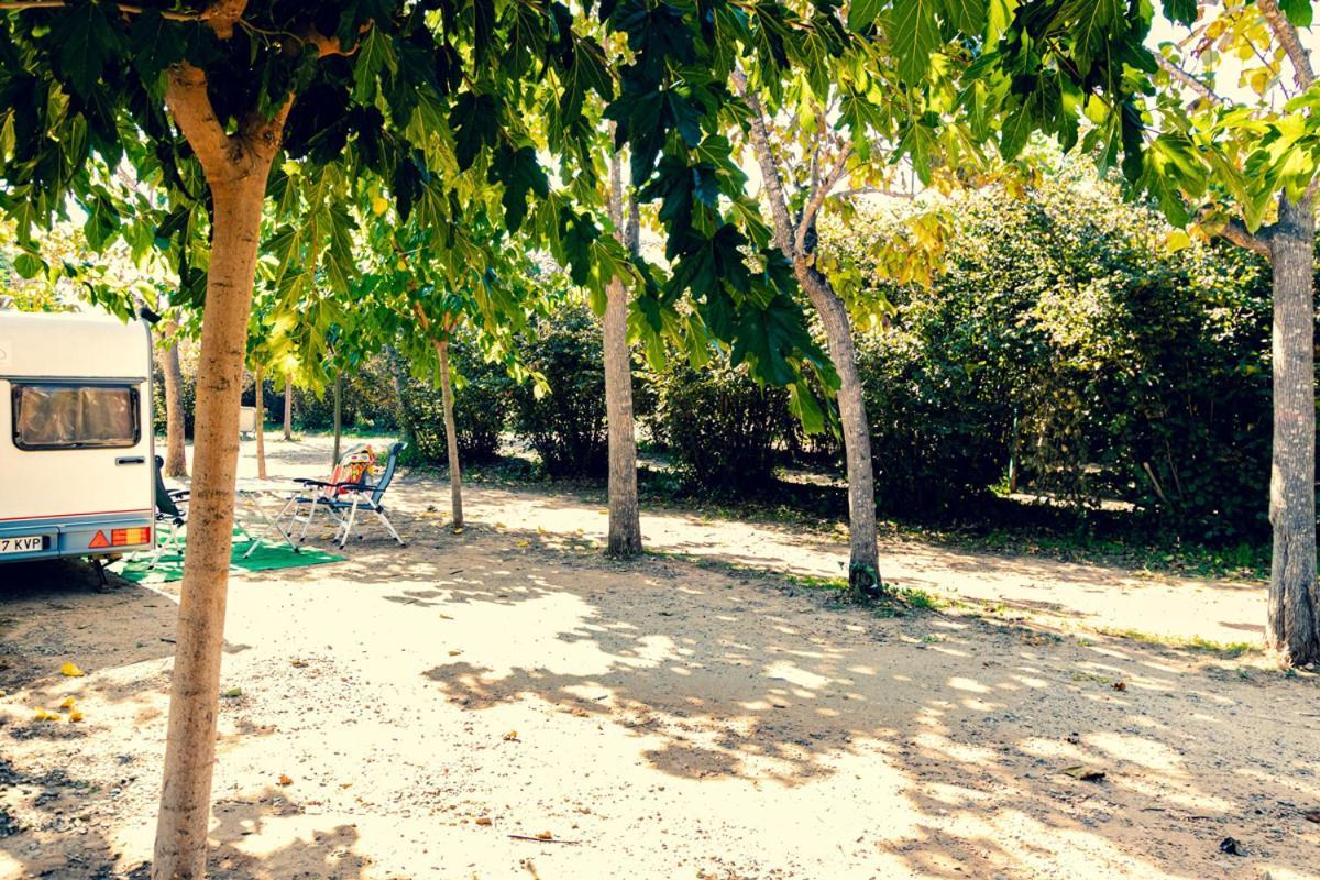 Ecologic Vinyols Camp