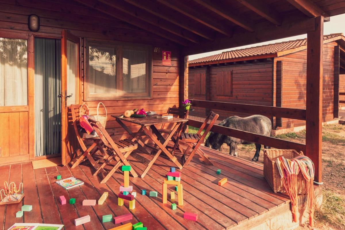 Ecologic Vinyols Camp Vinyols i Els Arcs