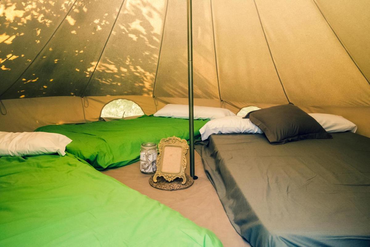 Ecologic Vinyols Camp 2* Vinyols i Els Arcs