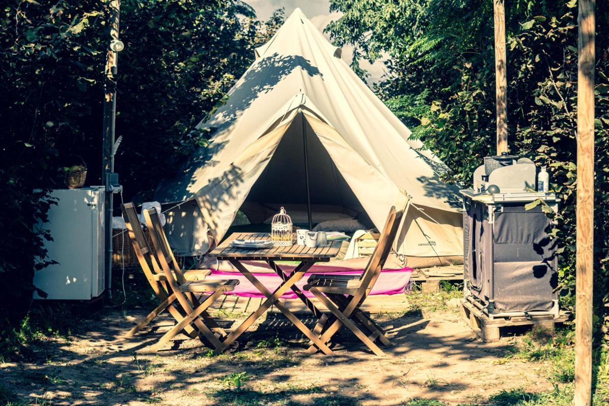 Ecologic Vinyols Camp 2*