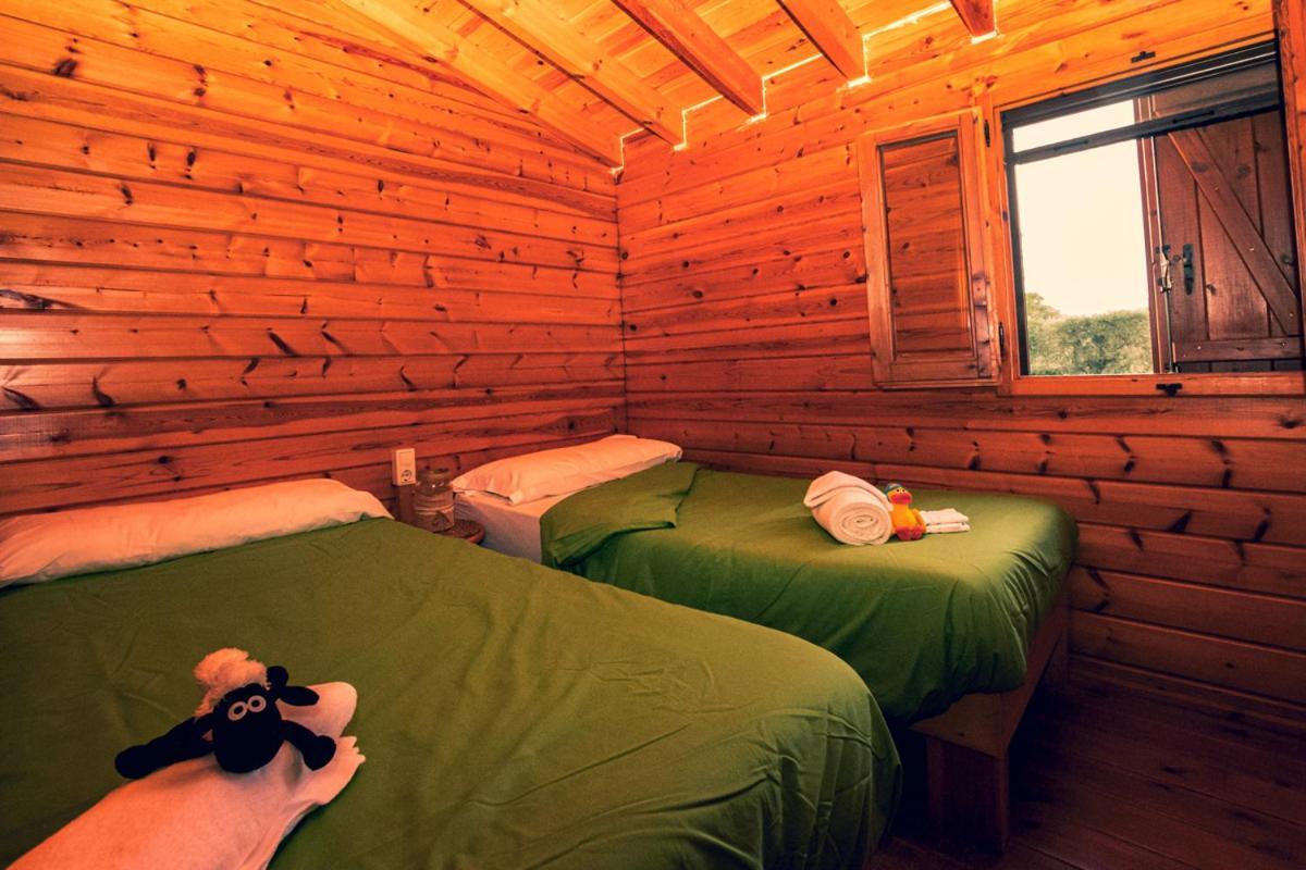 Ecologic Vinyols Camp 2* Vinyols i Els Arcs