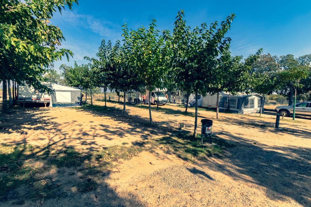 Ecologic Vinyols Camp Vinyols i Els Arcs